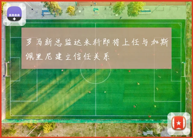 罗马新总监达米科即将上任与加斯佩里尼建立信任关系